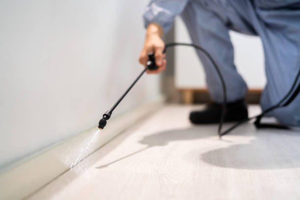 Licensed Pest Control service in Brunswick, MD - Show Me Pest Control